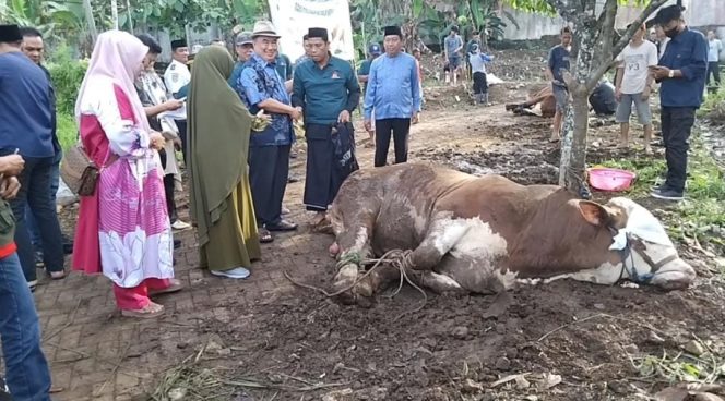 Bupati Tanggamus Pimpin Langsung Pemotongan Hewan Kurban di Masjid Islamic Center