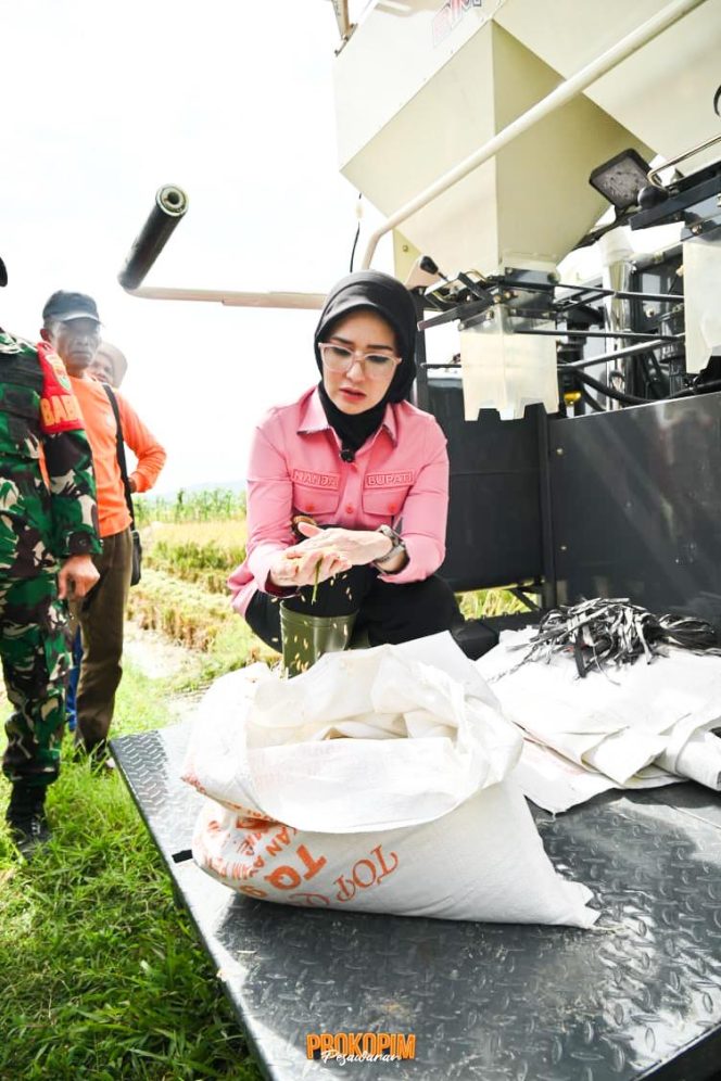Nanda-Anton Test Drive Alsintan