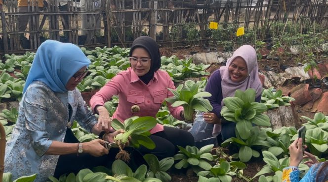 Nanda Indira: KWT Salah Satu Elemen Utama Bangun Ketahanan Pangan